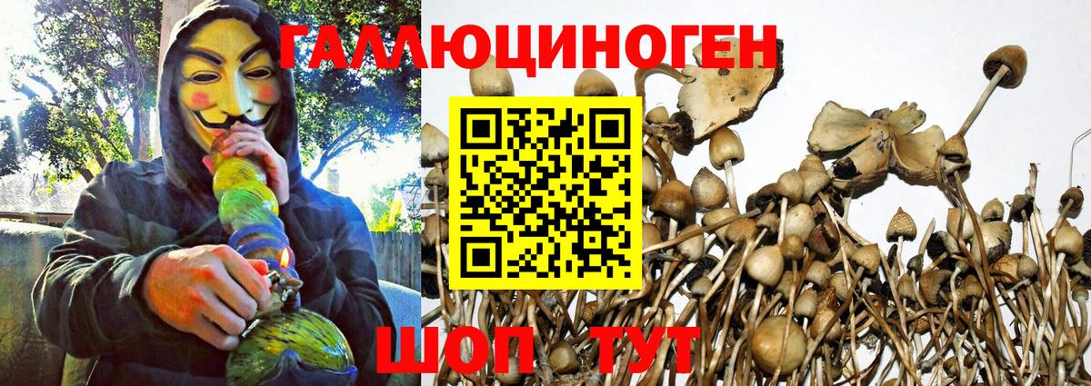 Псилоцибиновые грибы GOLDEN TEACHER Богородск