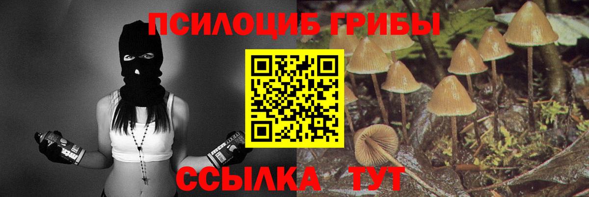Богородск  Псилоцибиновые грибы Psilocybe  Вход с VPN 