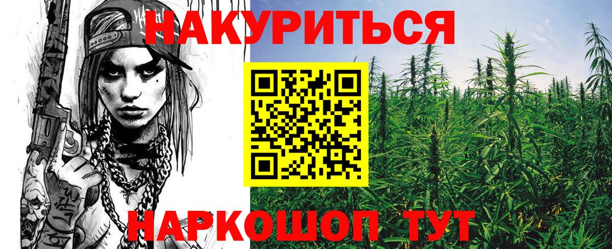 Конопля гибрид Богородск