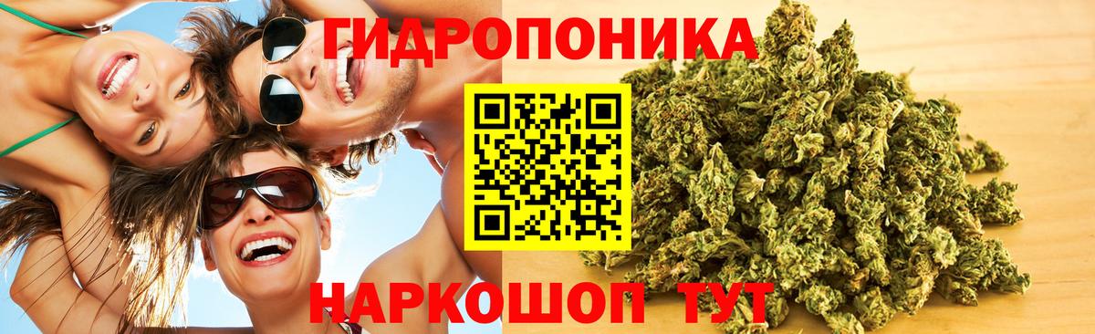 Каннабис план  Шишки марихуана план  Богородск  Вход с VPN  Конопля THC 21% 